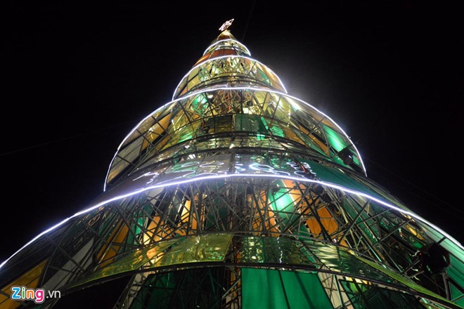 cay thong lap ky luc Viet Nam anh 15