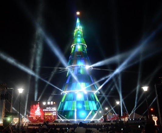 cay thong lap ky luc Viet Nam anh 16