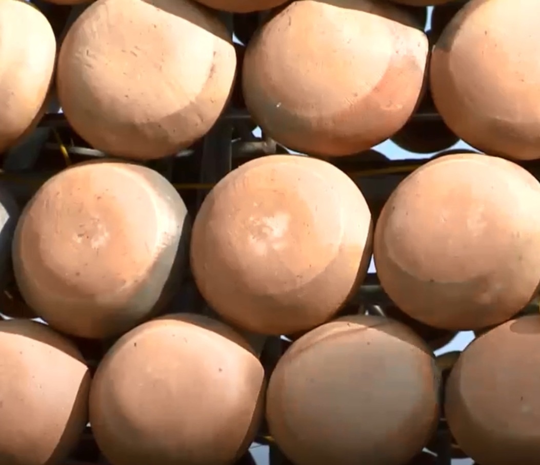 cay thong lap ky luc Viet Nam anh 9