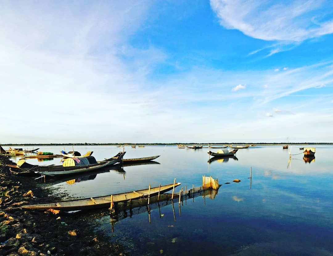 cay co don Mat Biec anh 6