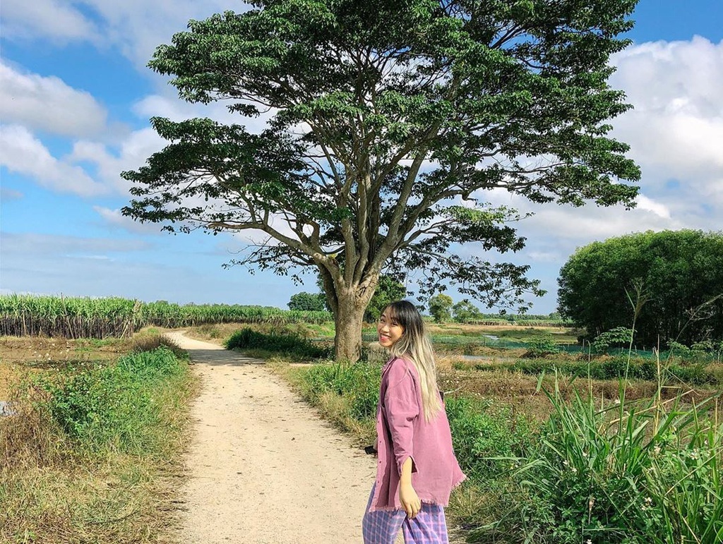 cay co don Mat Biec anh 3