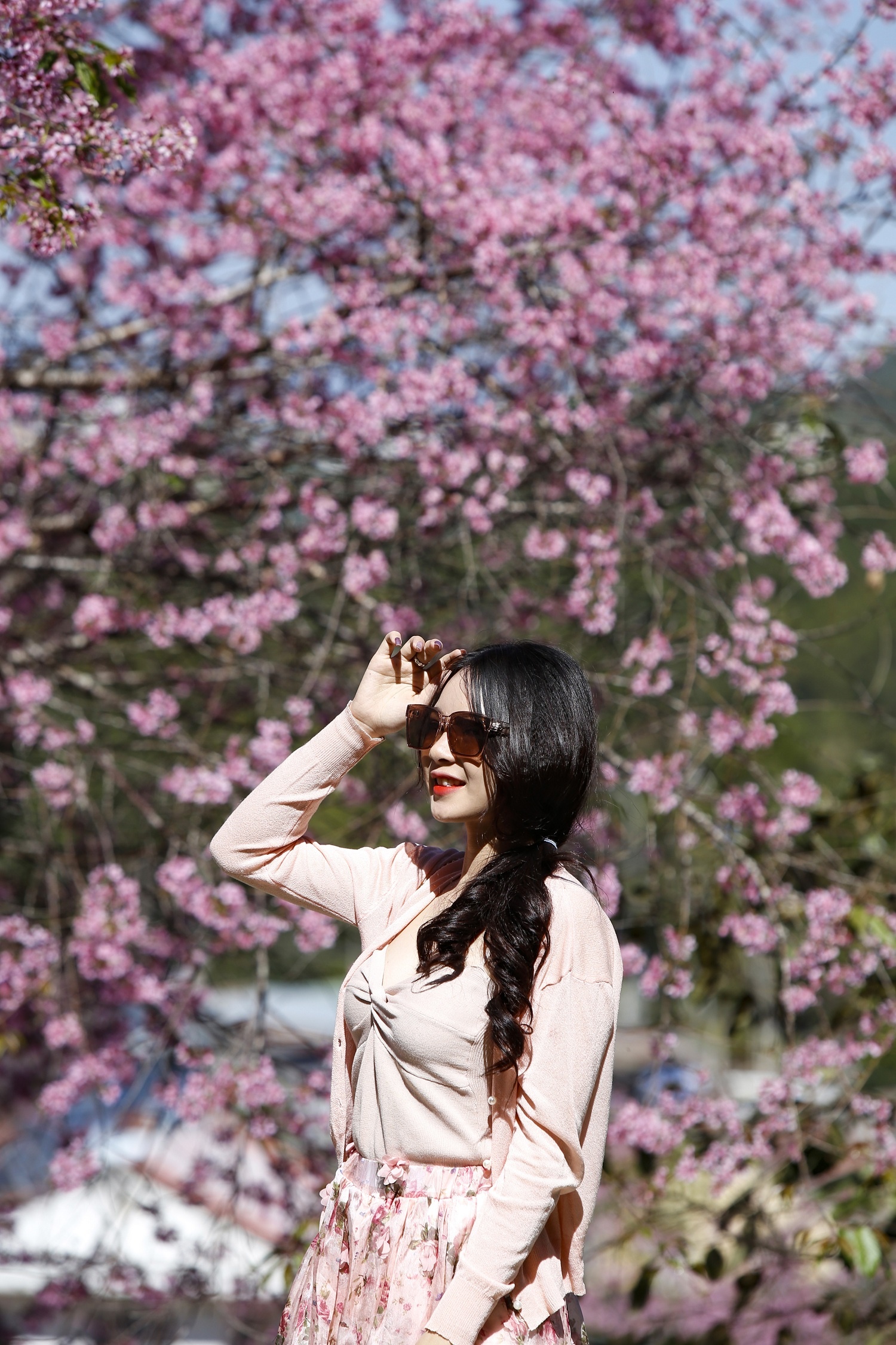 mua hoa mai anh dao anh 9