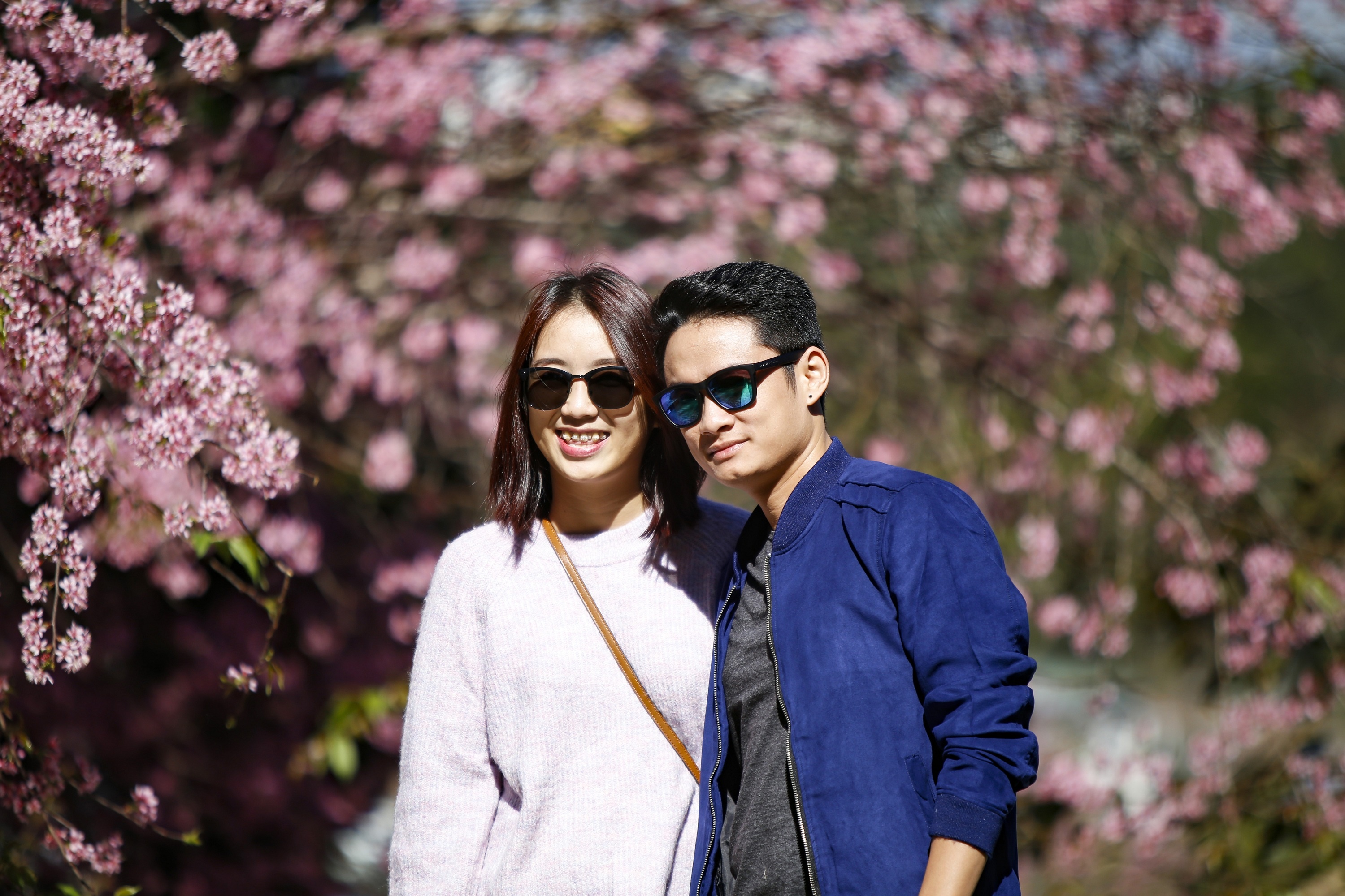 mua hoa mai anh dao anh 17