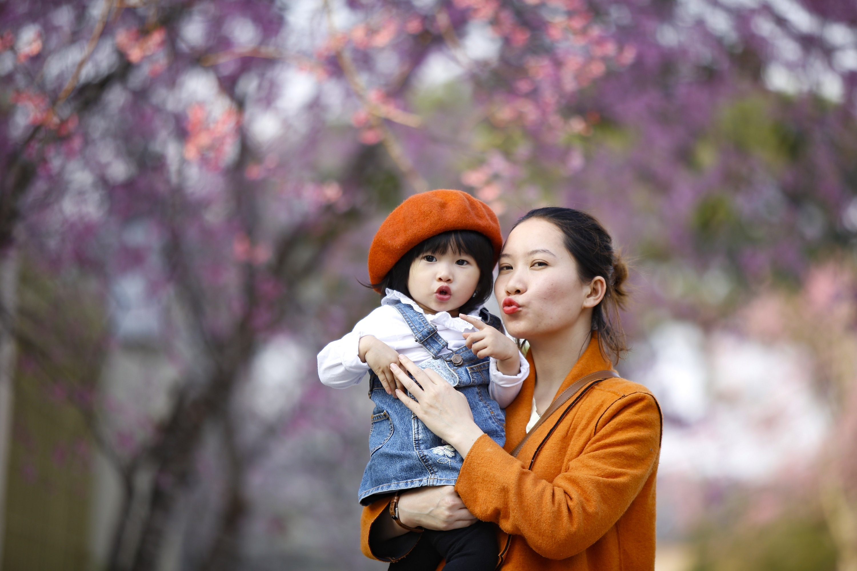 mua hoa mai anh dao anh 19