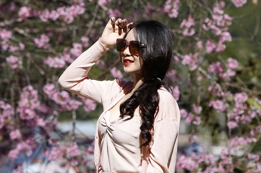 Du khach keo nhau len Da Lat ngam mai anh dao khoe sac hinh anh