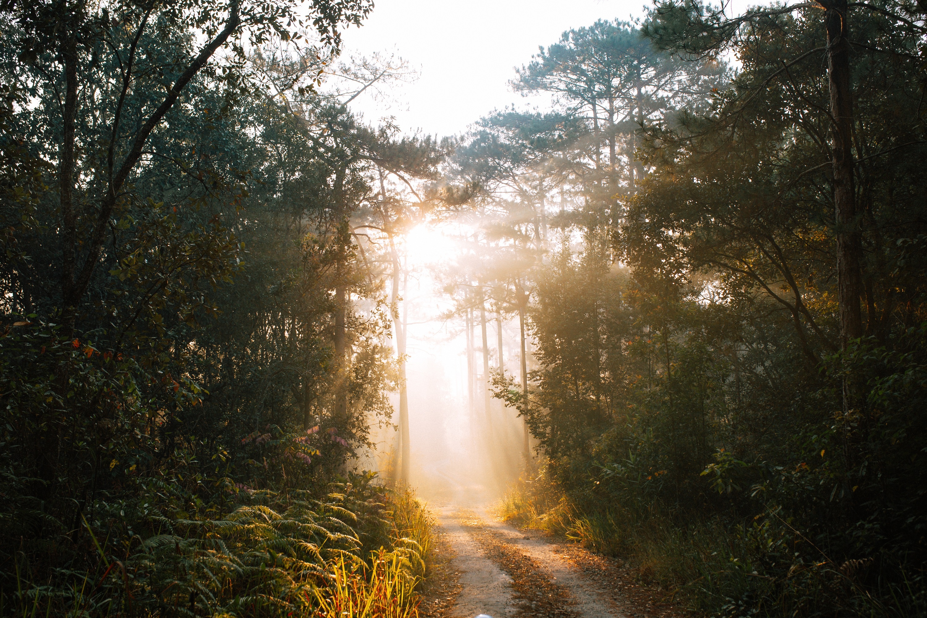 binh minh ho Tuyen Lam anh 1