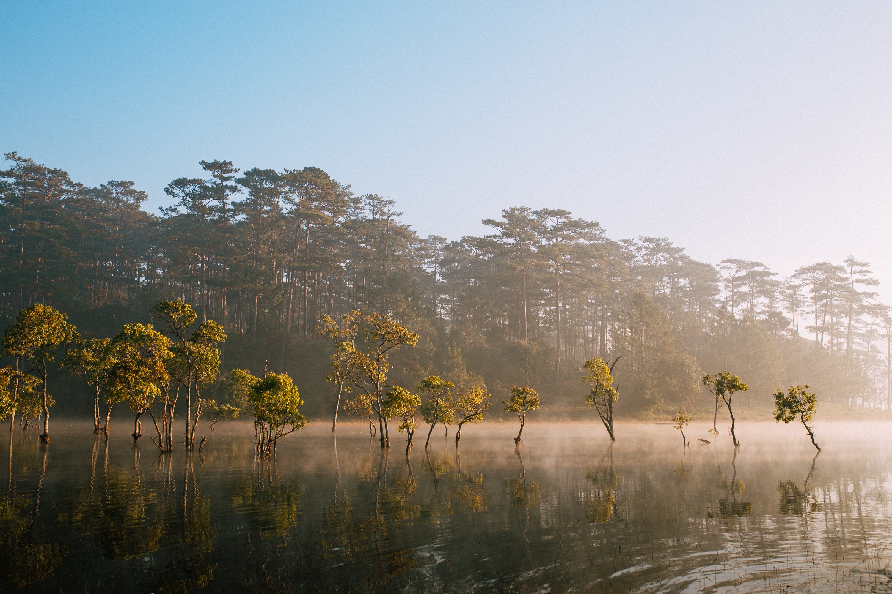 binh minh ho Tuyen Lam anh 5