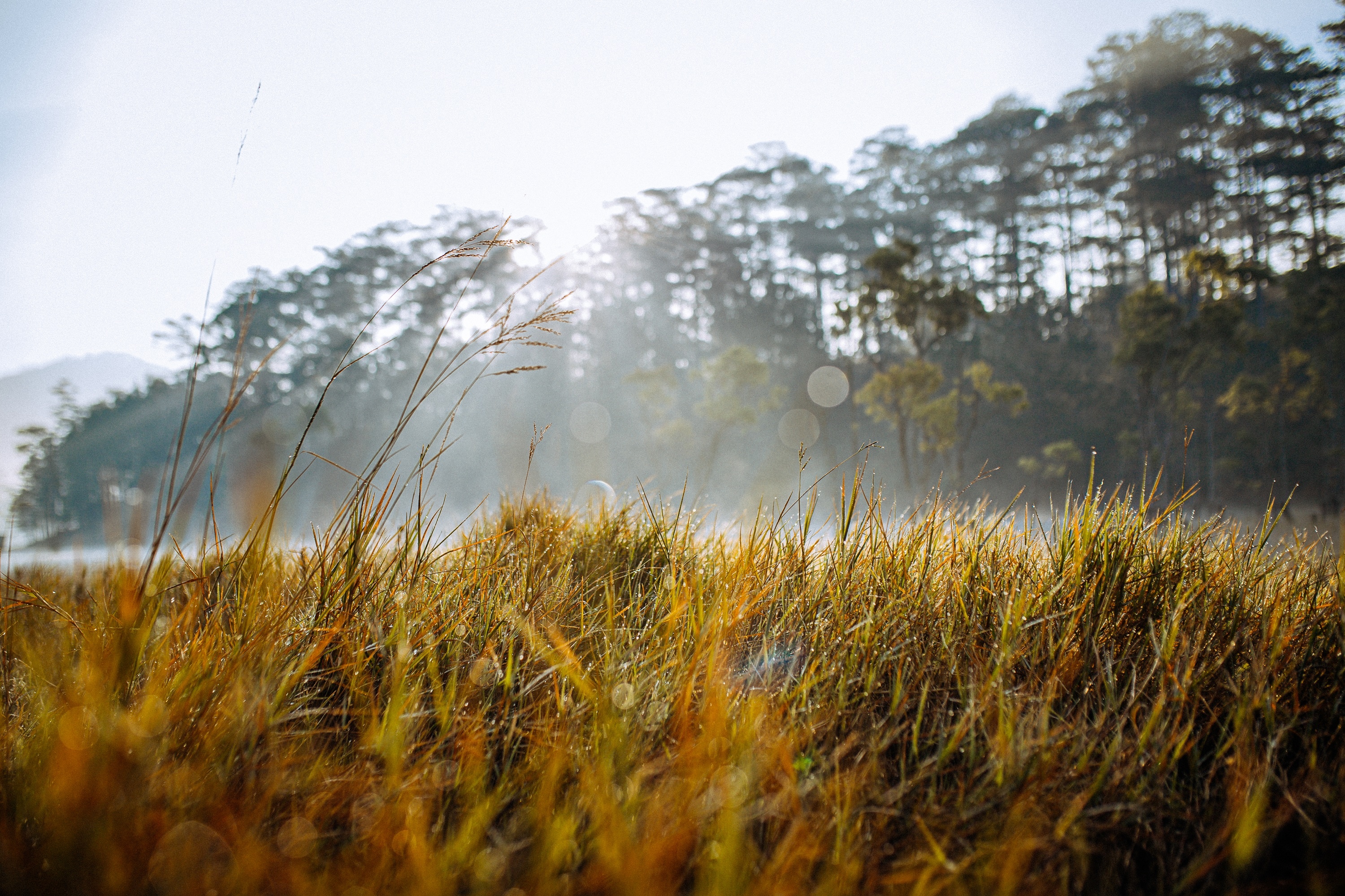 binh minh ho Tuyen Lam anh 7