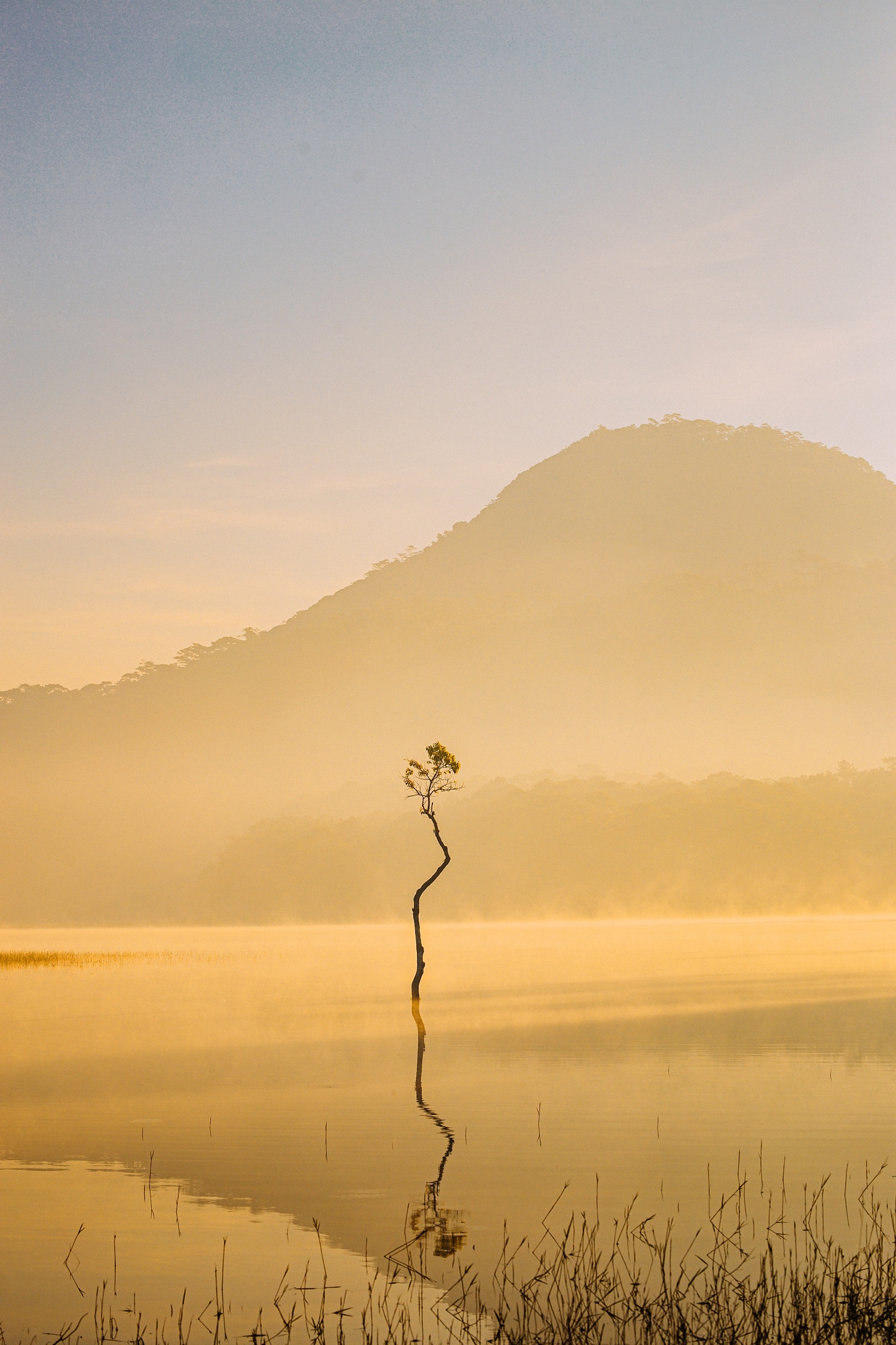 bình minh hồ Tuyền Lâm ảnh 8 binh minh ho Tuyen Lam anh 8