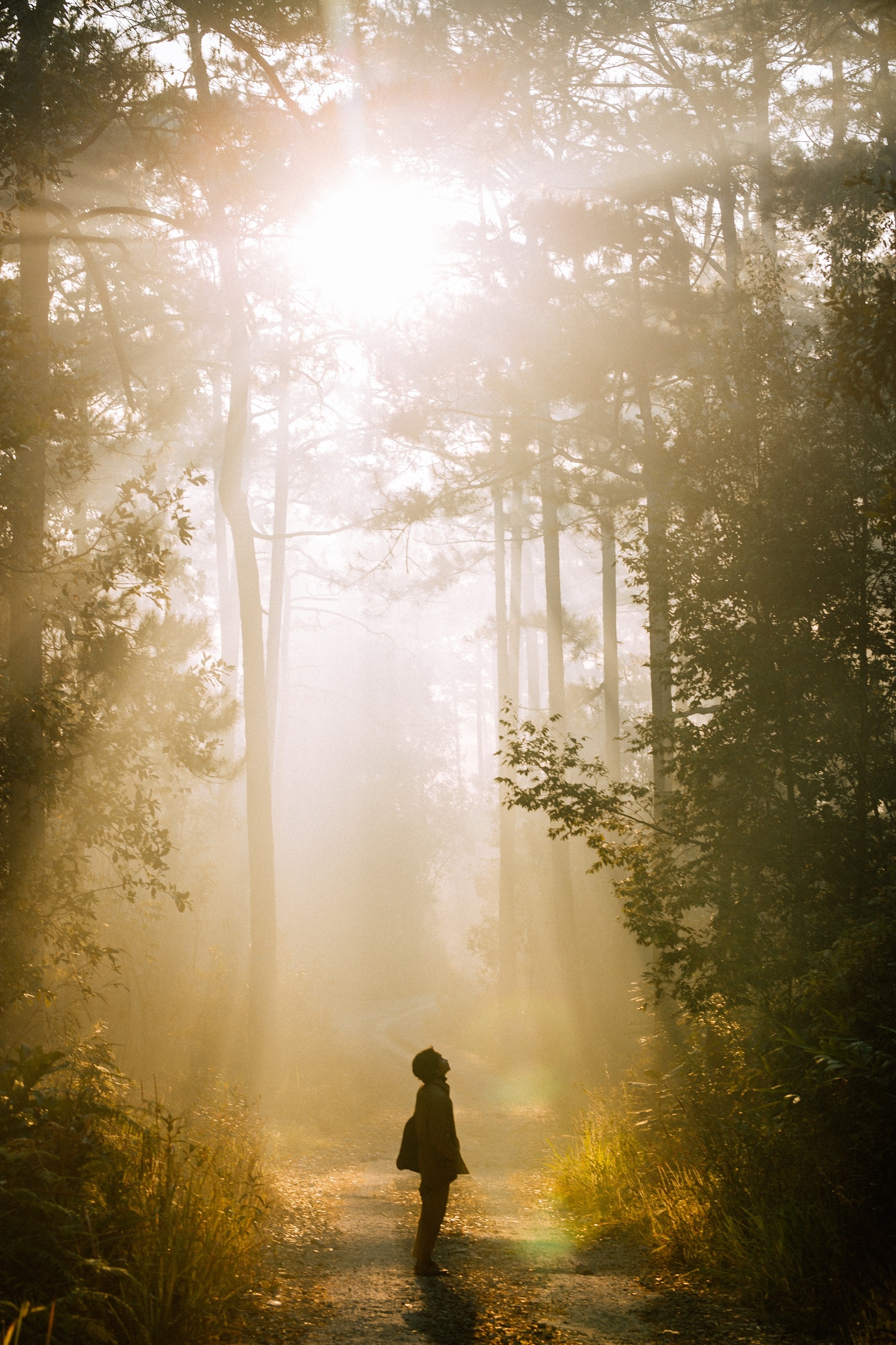 bình minh hồ Tuyền Lâm ảnh 9 binh minh ho Tuyen Lam anh 9