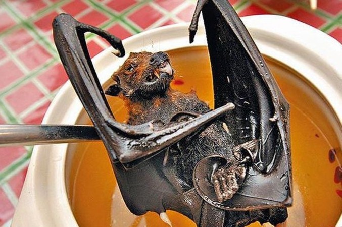 Sup doi - mon an bi nghi la nguon goc phat tan virus corona hinh anh