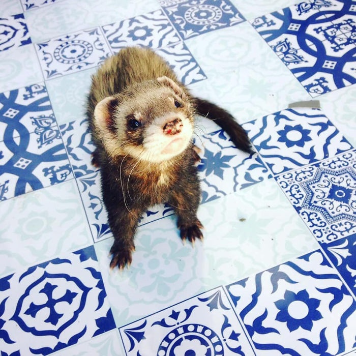 du lich cung chon anh 8