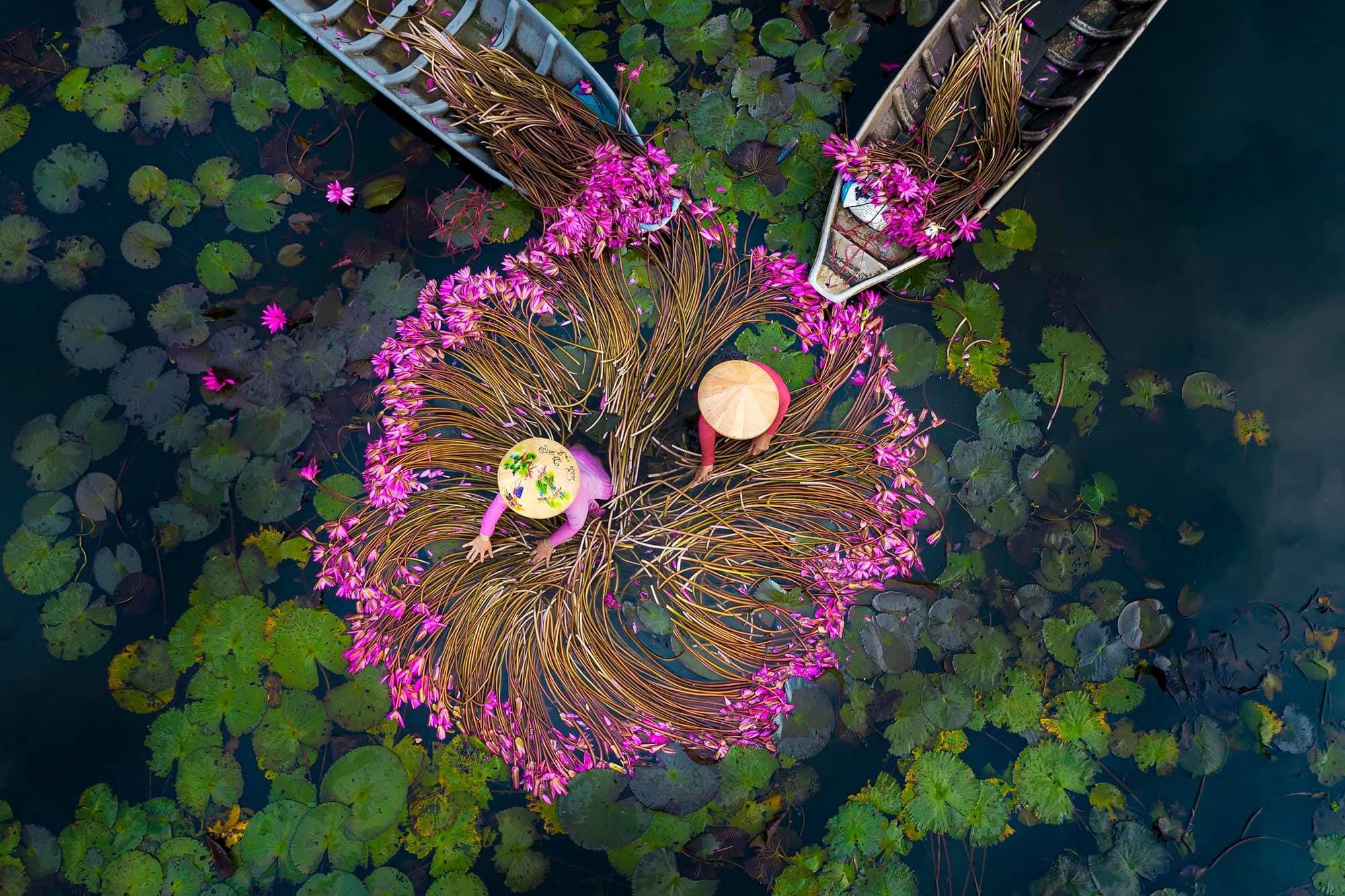 lang nghe Viet anh 10