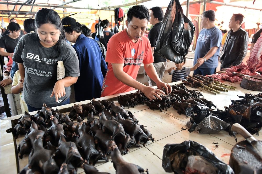 chợ đáng sợ nhất Indonesia ảnh 14 cho dang so nhat Indonesia anh 14