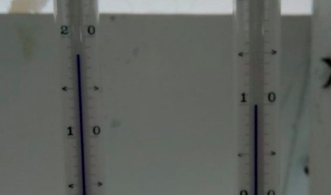 bang tan o Nam Cuc anh 1