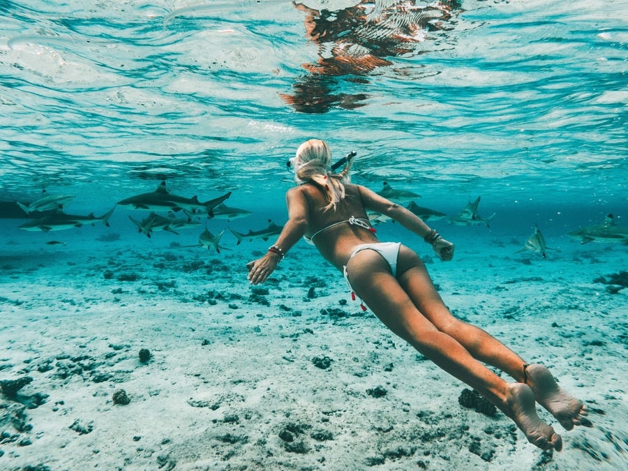 bí quyết chụp ảnh ảnh 12 bi quyet chup anh anh 12