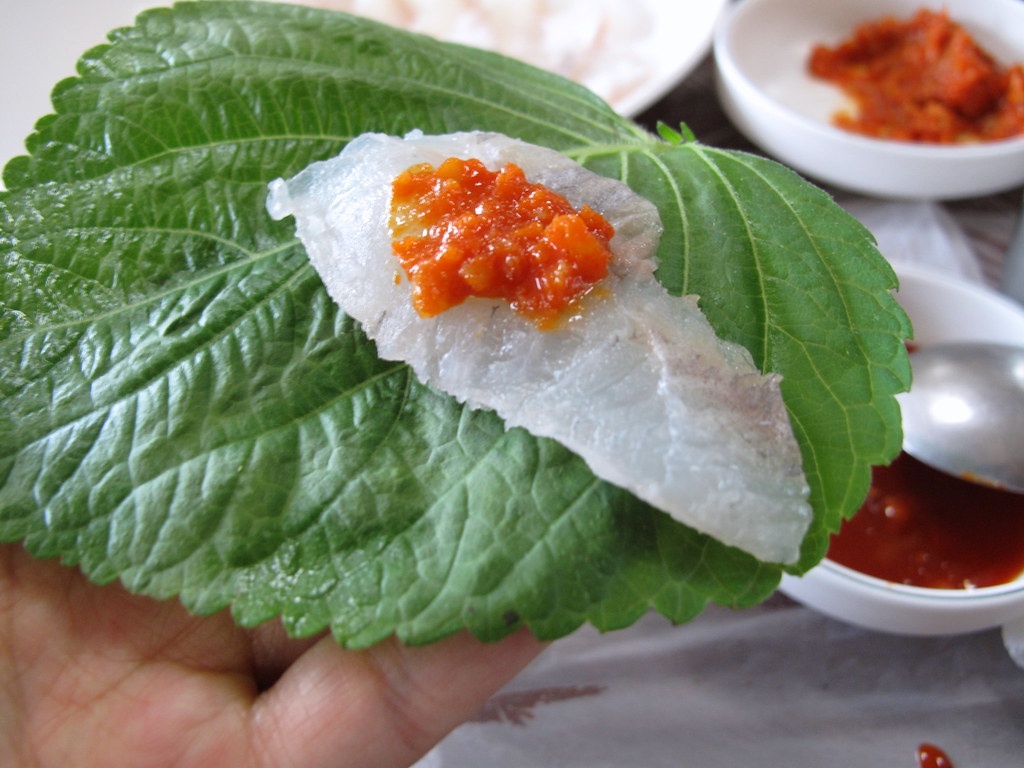 bach tuoc song anh 1