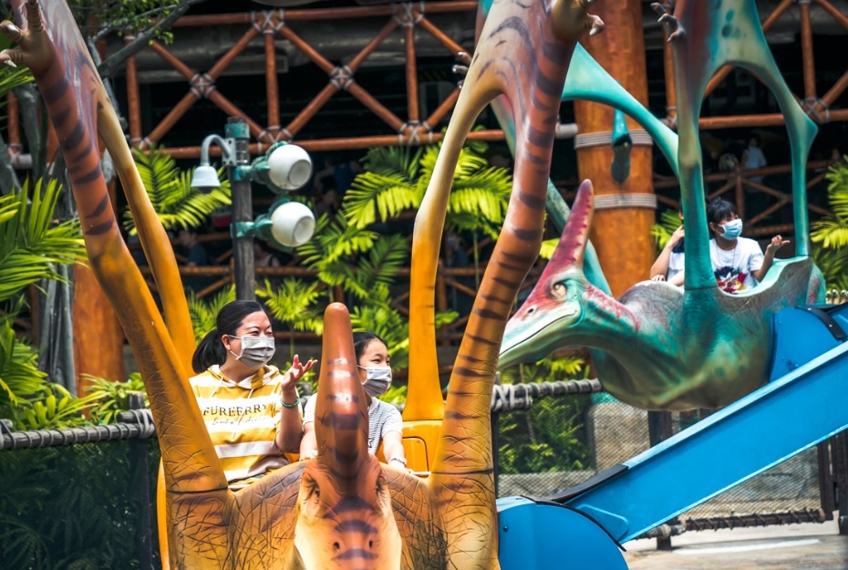 Ve heo hut hiem thay o cong vien lon nhat Singapore vi Covid-19 hinh anh