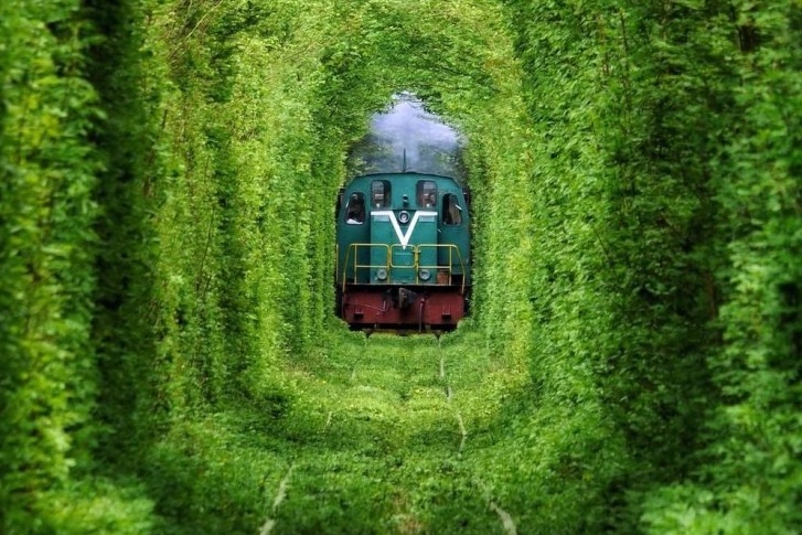 Ve dep me hoac suot 4 mua cua Duong ham tinh yeu o Ukraine hinh anh