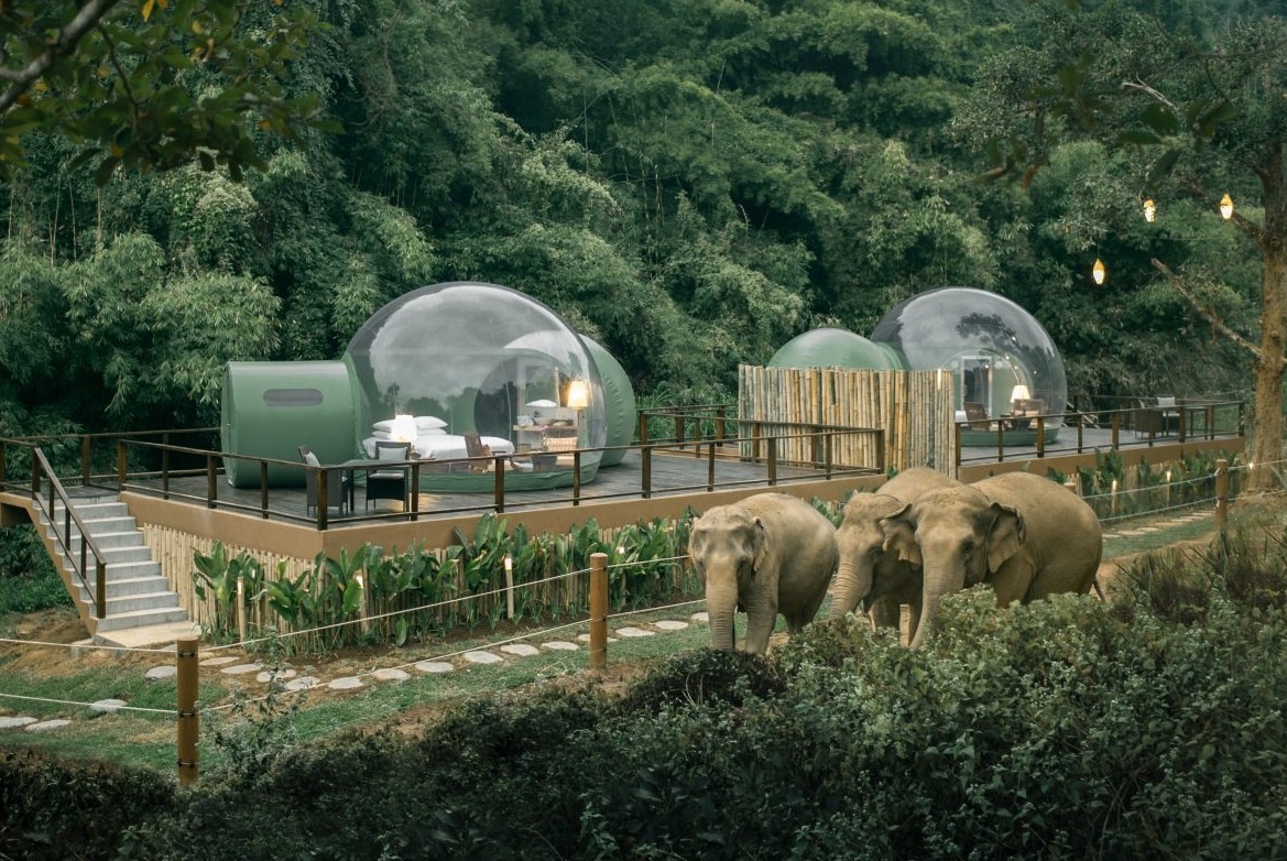 Khach san bong bong cho khach ngu qua dem ben dan voi hinh anh