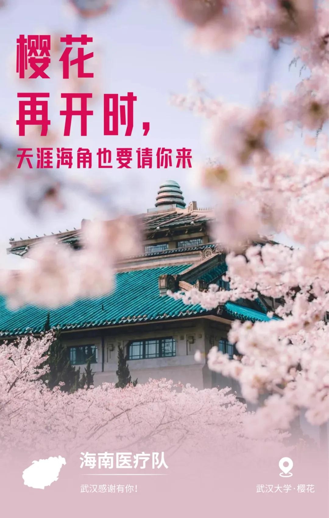 Vu Han gui loi tri an anh 4