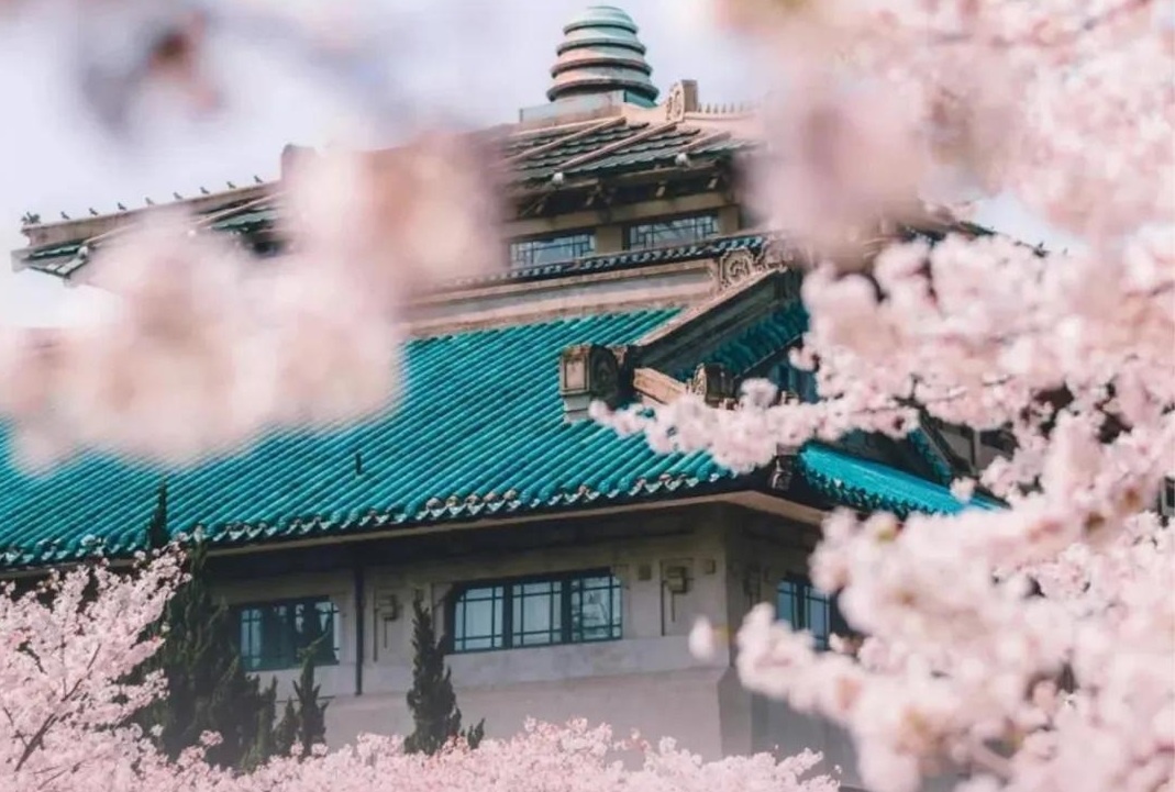 Vu Han gui loi tri an 'Cam on vi co ban' qua loat anh du lich hinh anh