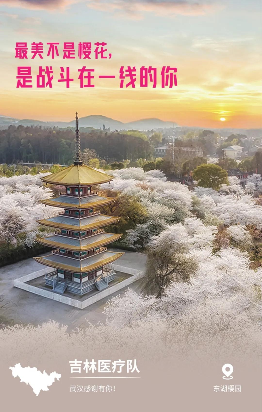 Vu Han gui loi tri an anh 3