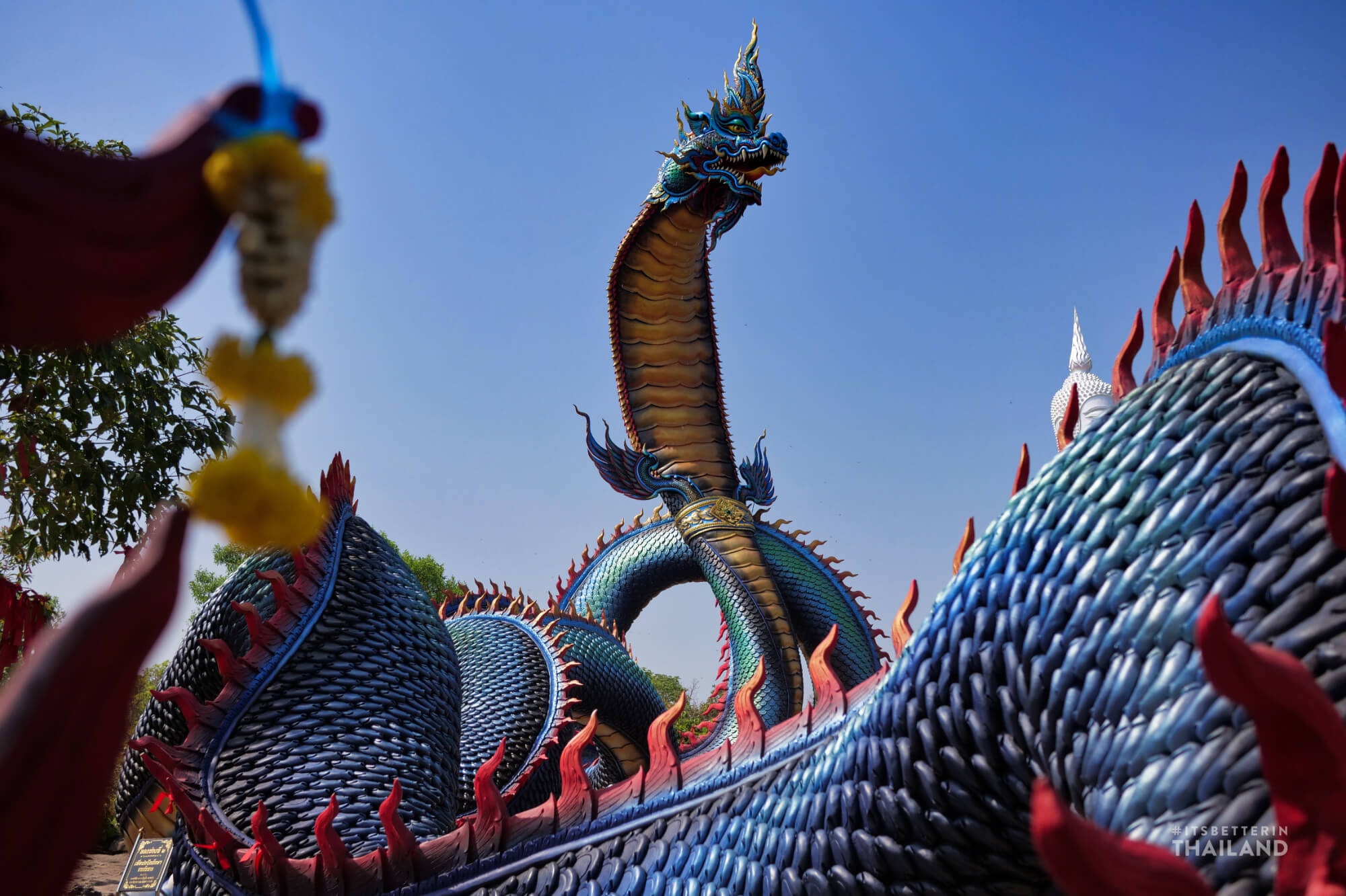 tuong than ran khong lo o Thai Lan anh 2