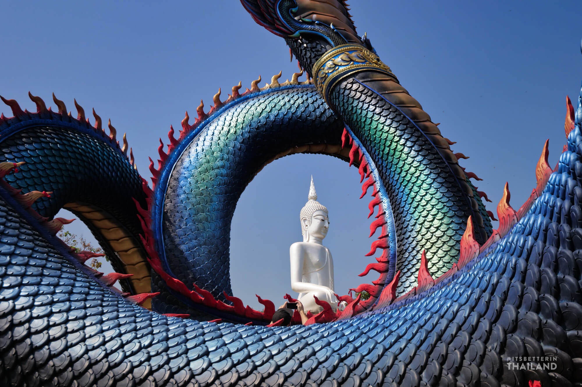 tuong than ran khong lo o Thai Lan anh 9