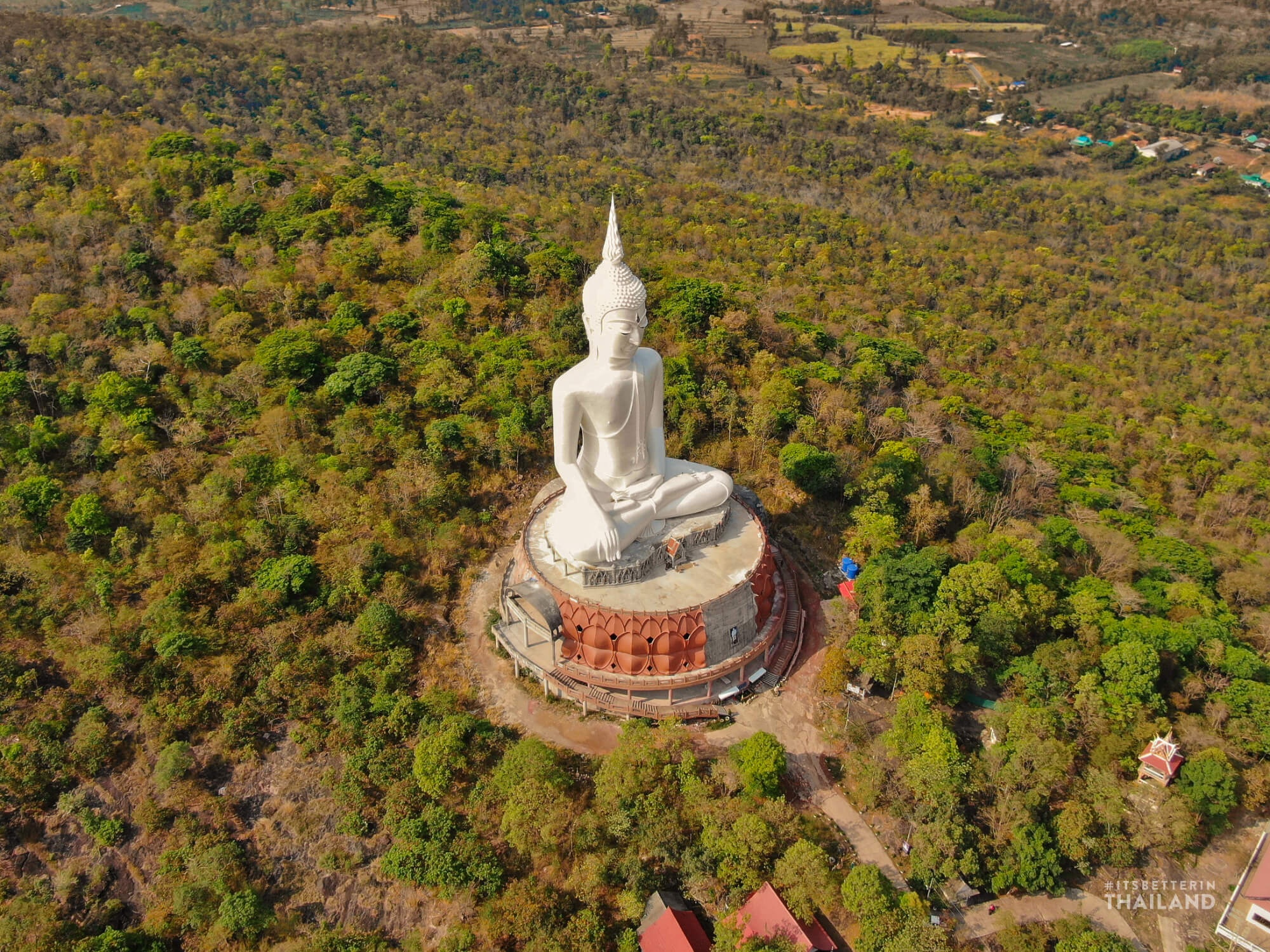 tuong than ran khong lo o Thai Lan anh 10
