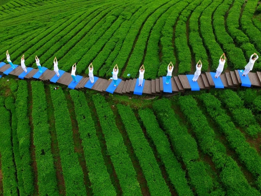 Tan huong thoi gian o nha anh 3