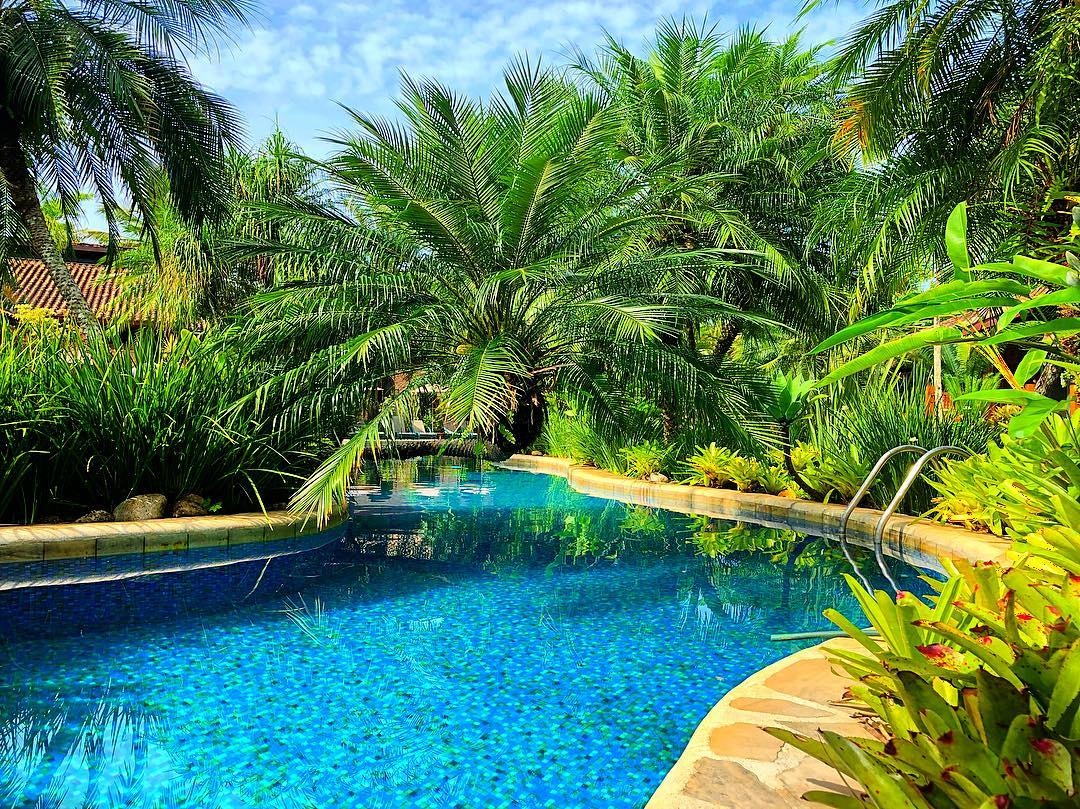 ho boi khach san anh 3