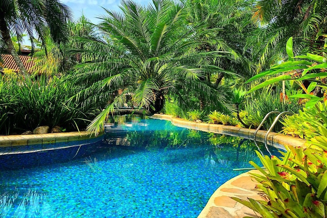 Ho boi khach san nhu khuc song uon luon giua mien nhiet doi hinh anh