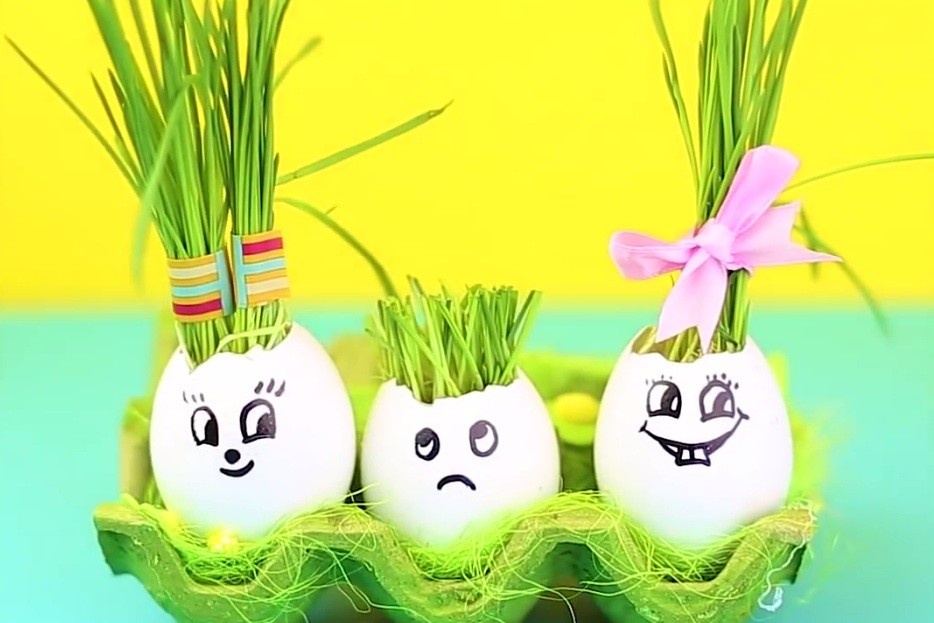 Vo trung va cac cach trong cay don gian trong nha bep hinh anh