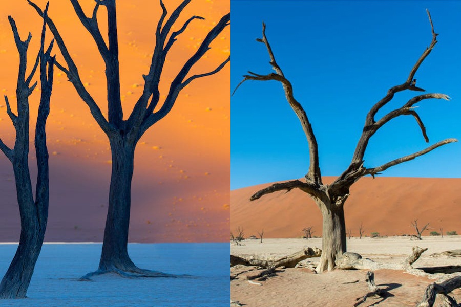 Cac diem den dep nhu ao anh thi giac va thuc te gay that vong hinh anh