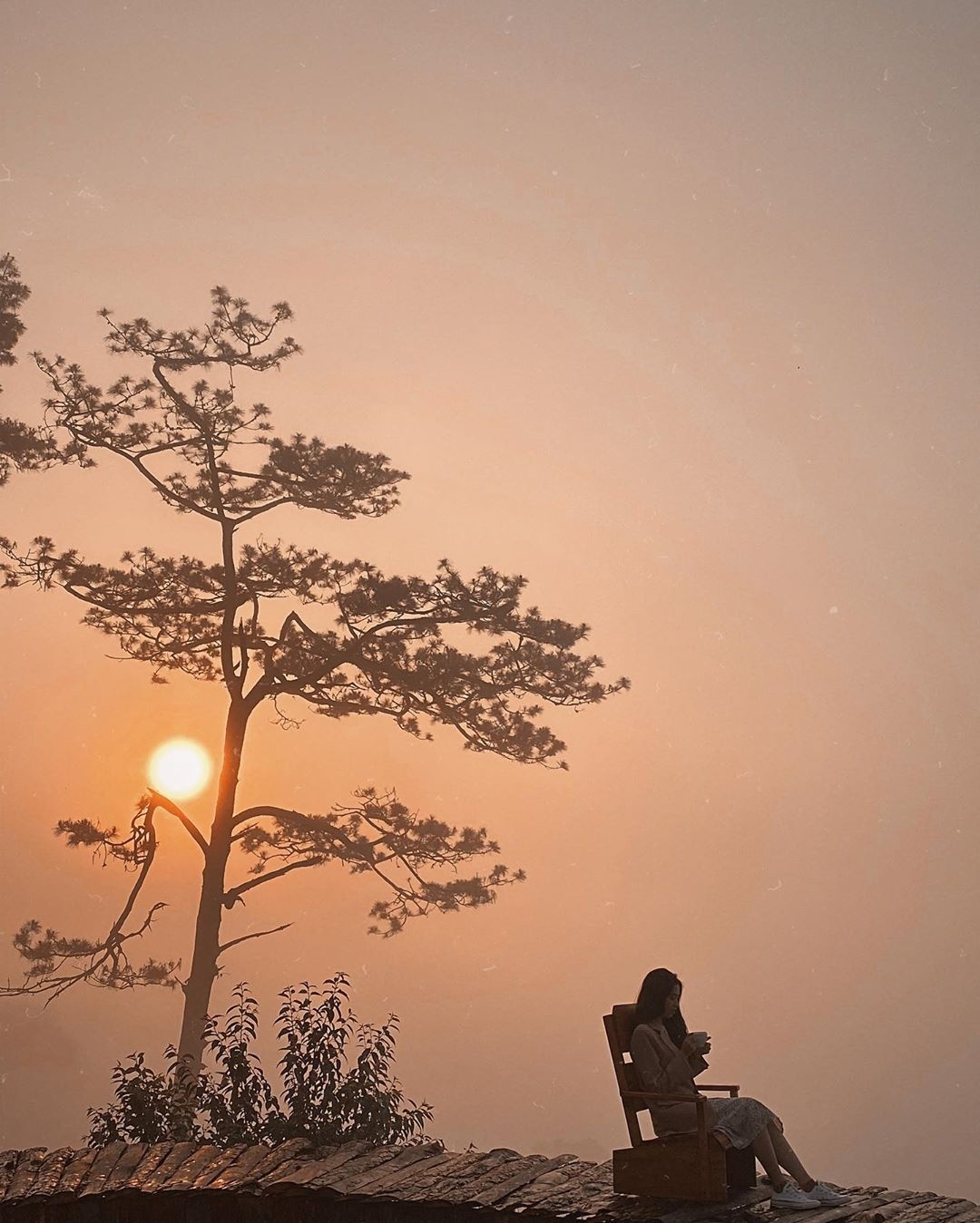 tiệm cà phê ngắm hoàng hôn Đà Lạt ảnh 6 tiem ca phe ngam hoang hon Da Lat anh 6