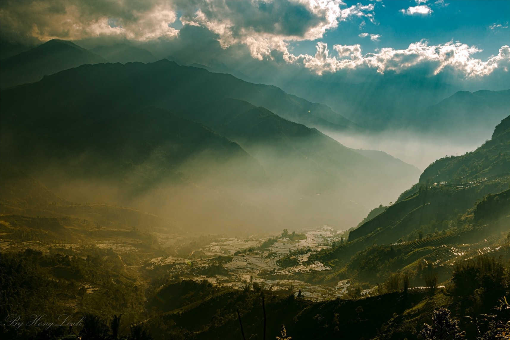 Y Ty mua nuoc do anh 2