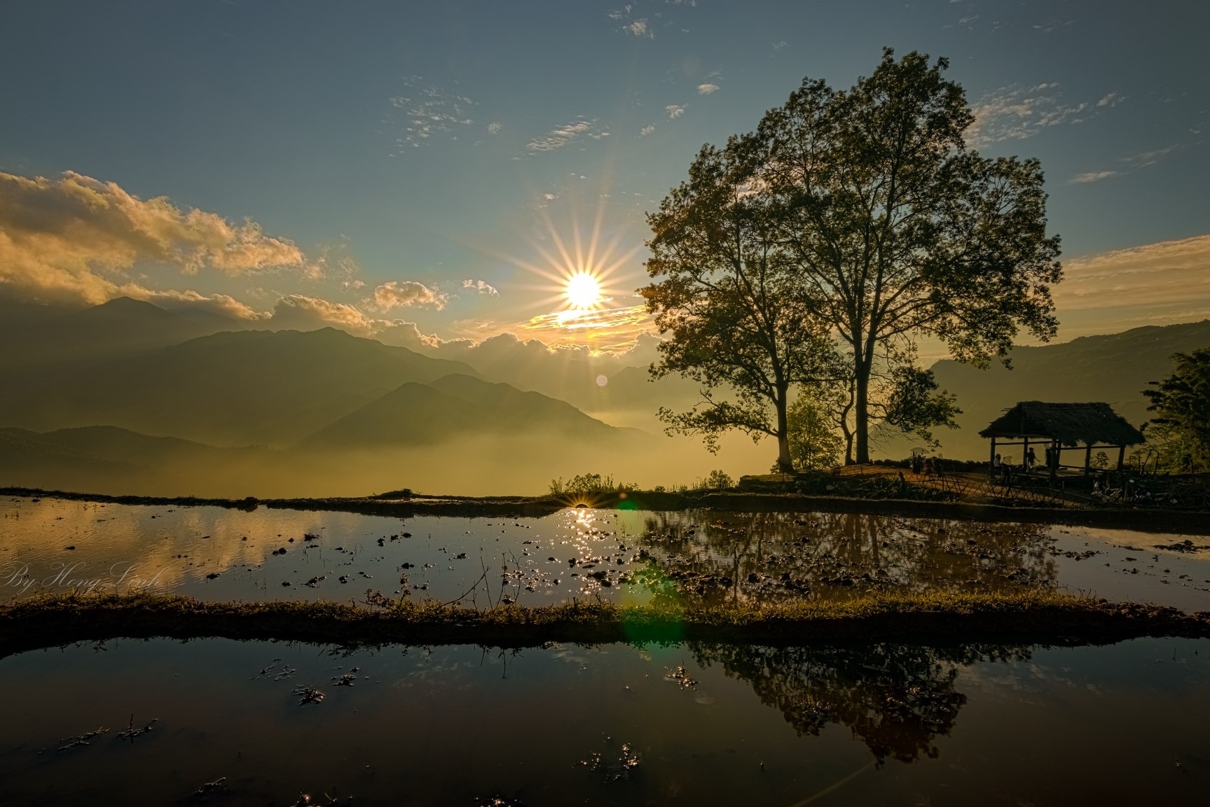 Y Ty mua nuoc do anh 4