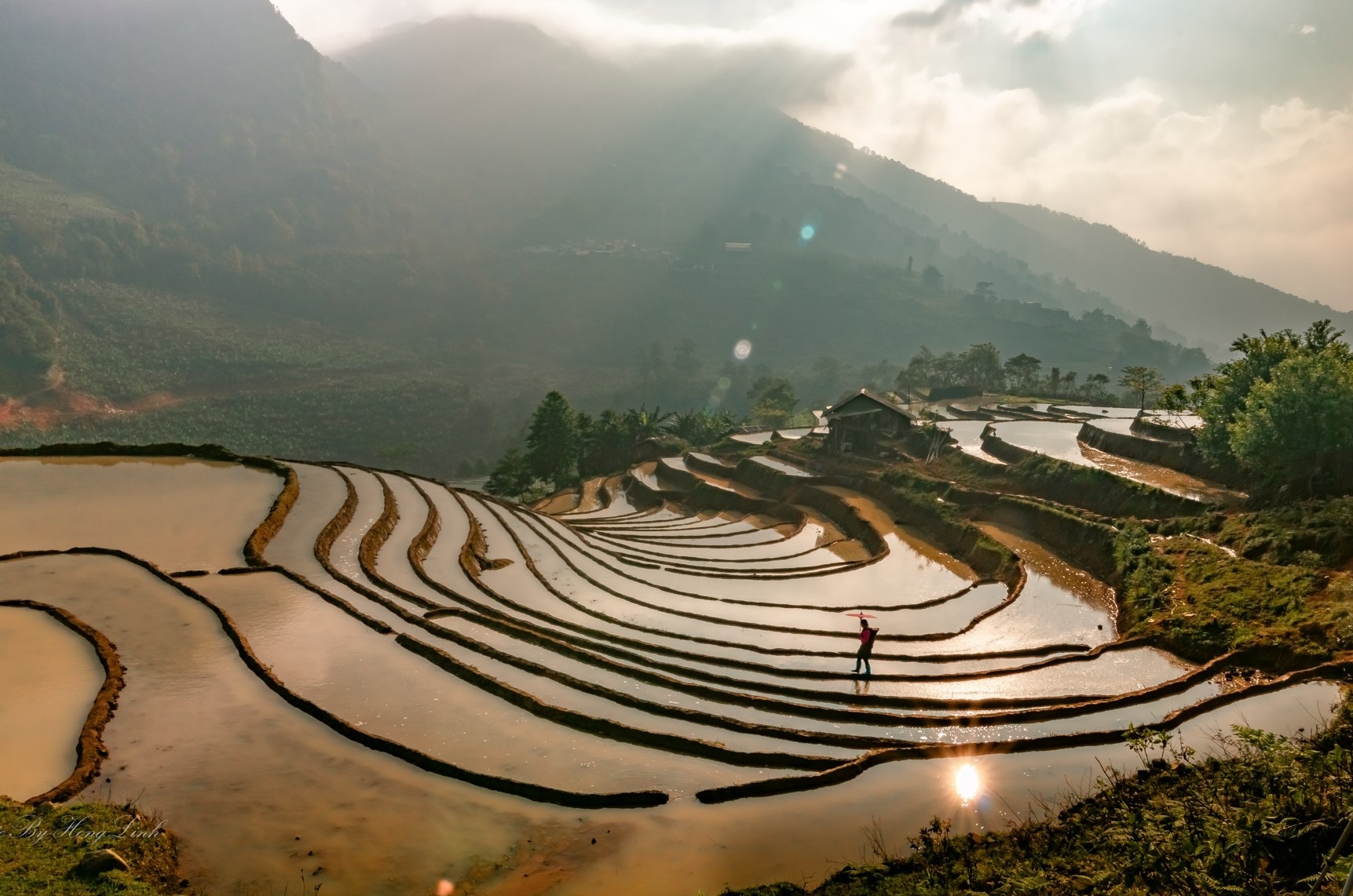 Y Ty mua do ai tram mac trong nhung gam mau sang toi hinh anh