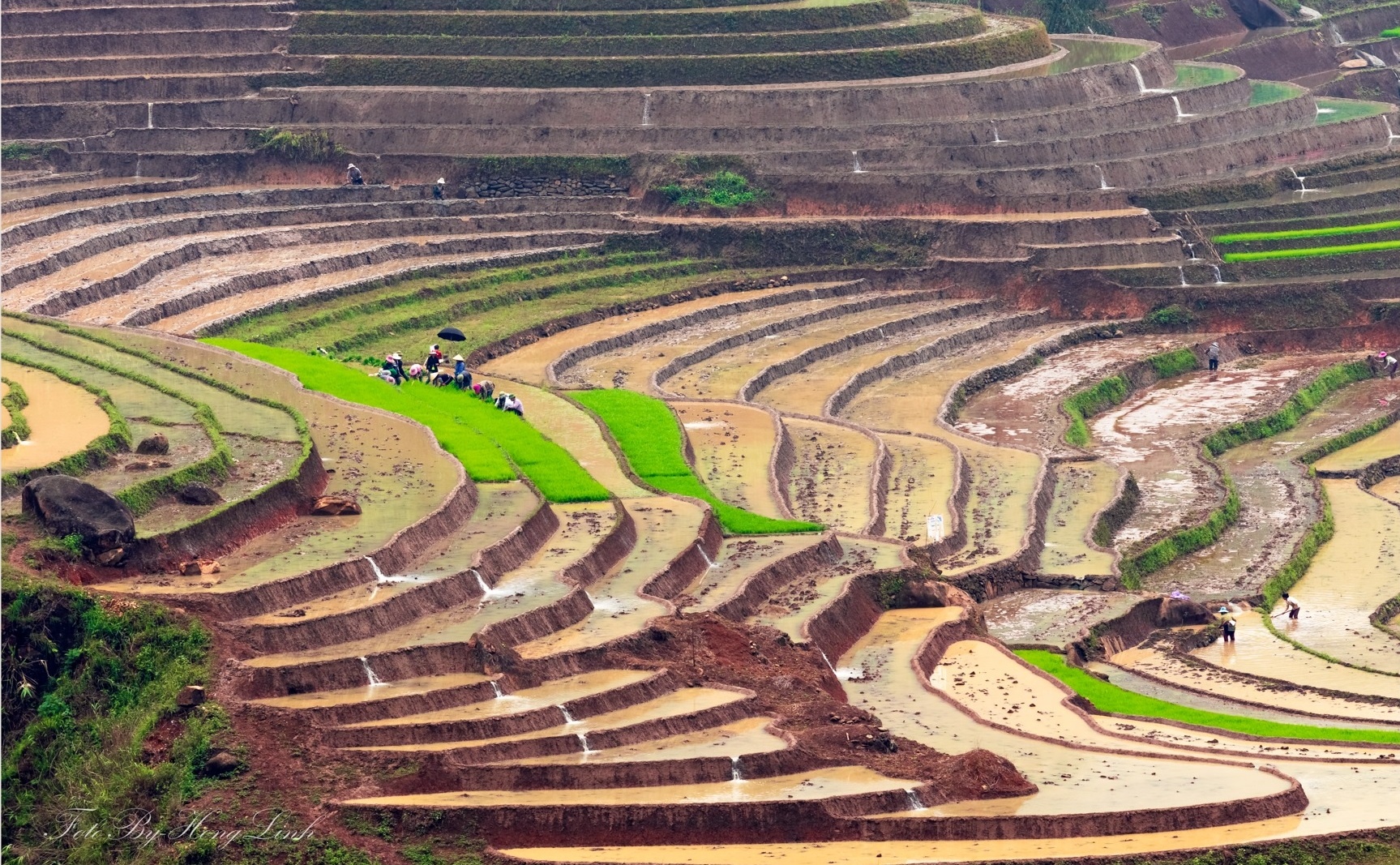 Y Ty mua nuoc do anh 9