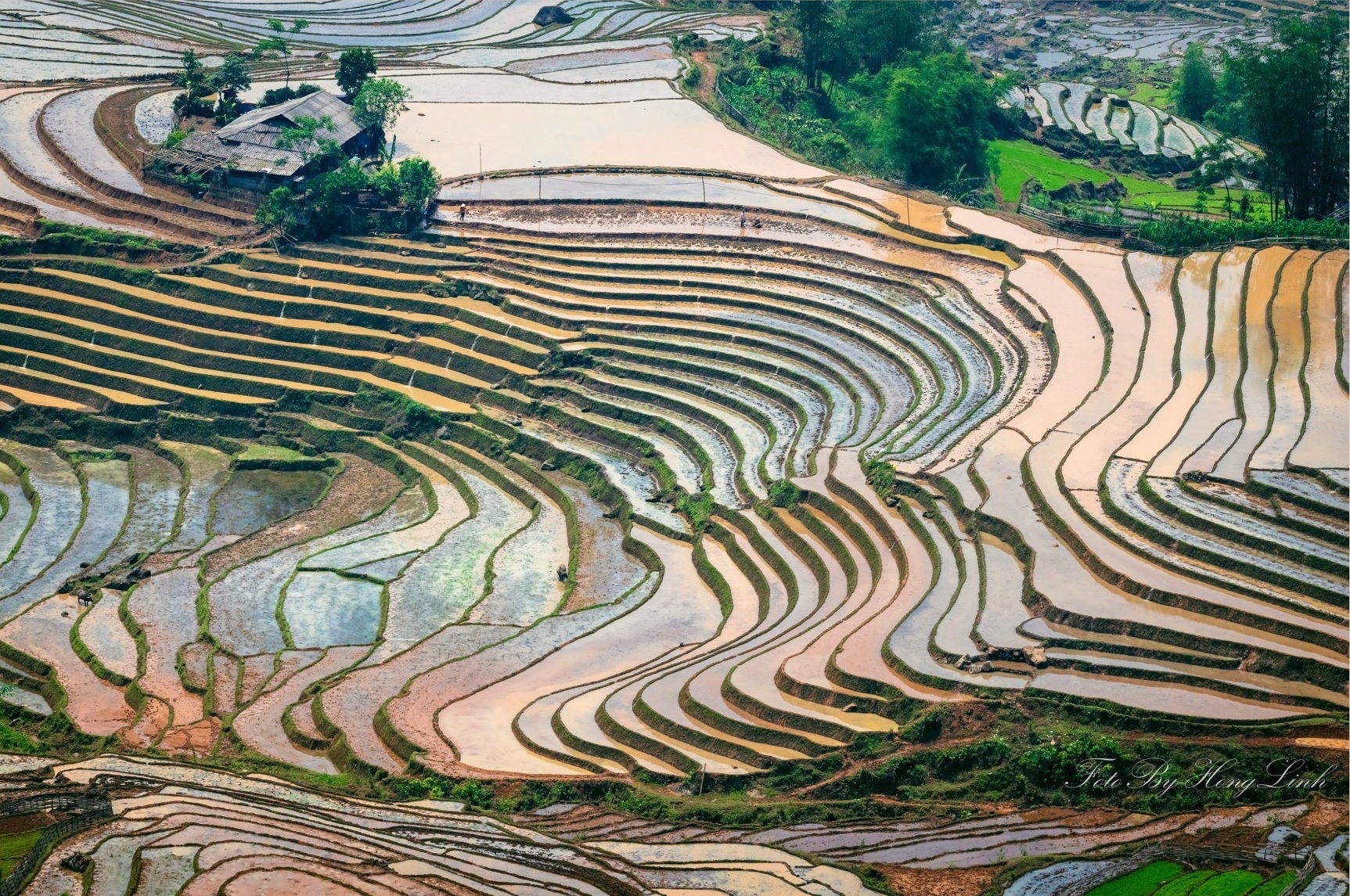 Y Ty mua nuoc do anh 10