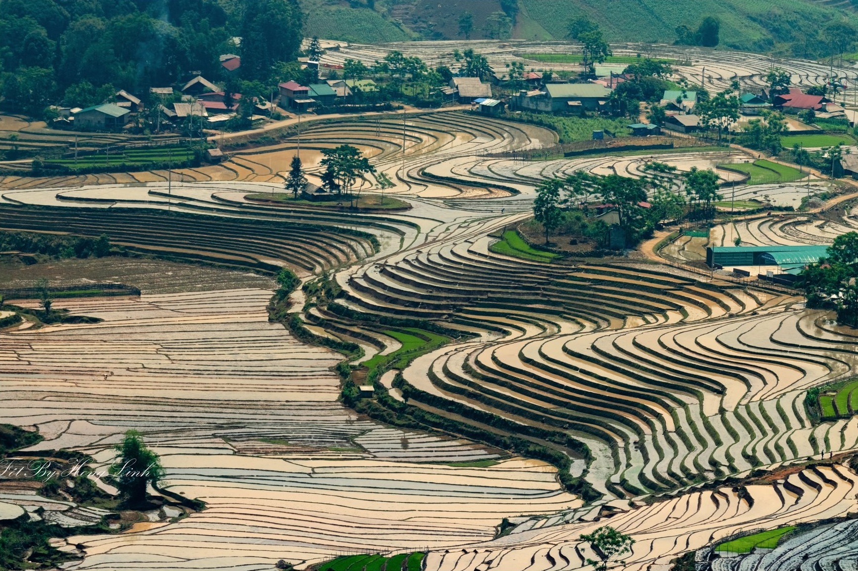 Y Ty mua nuoc do anh 11