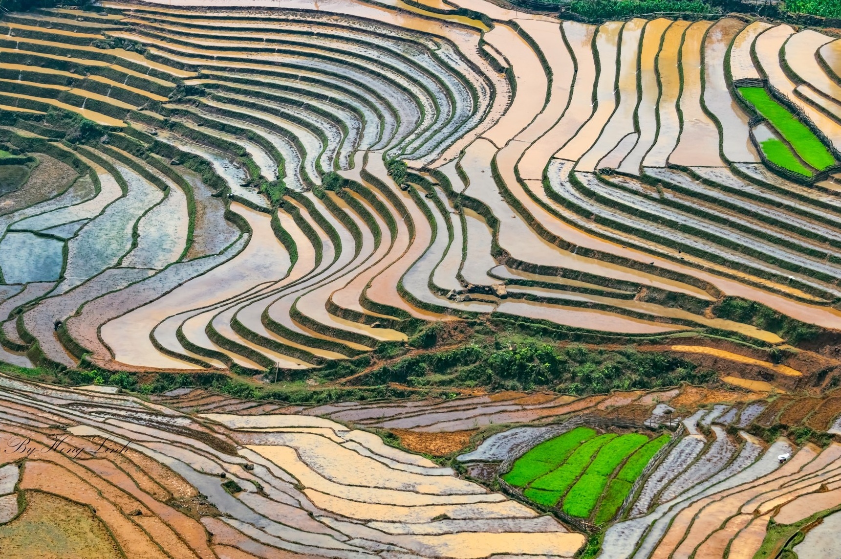 Y Ty mua nuoc do anh 13