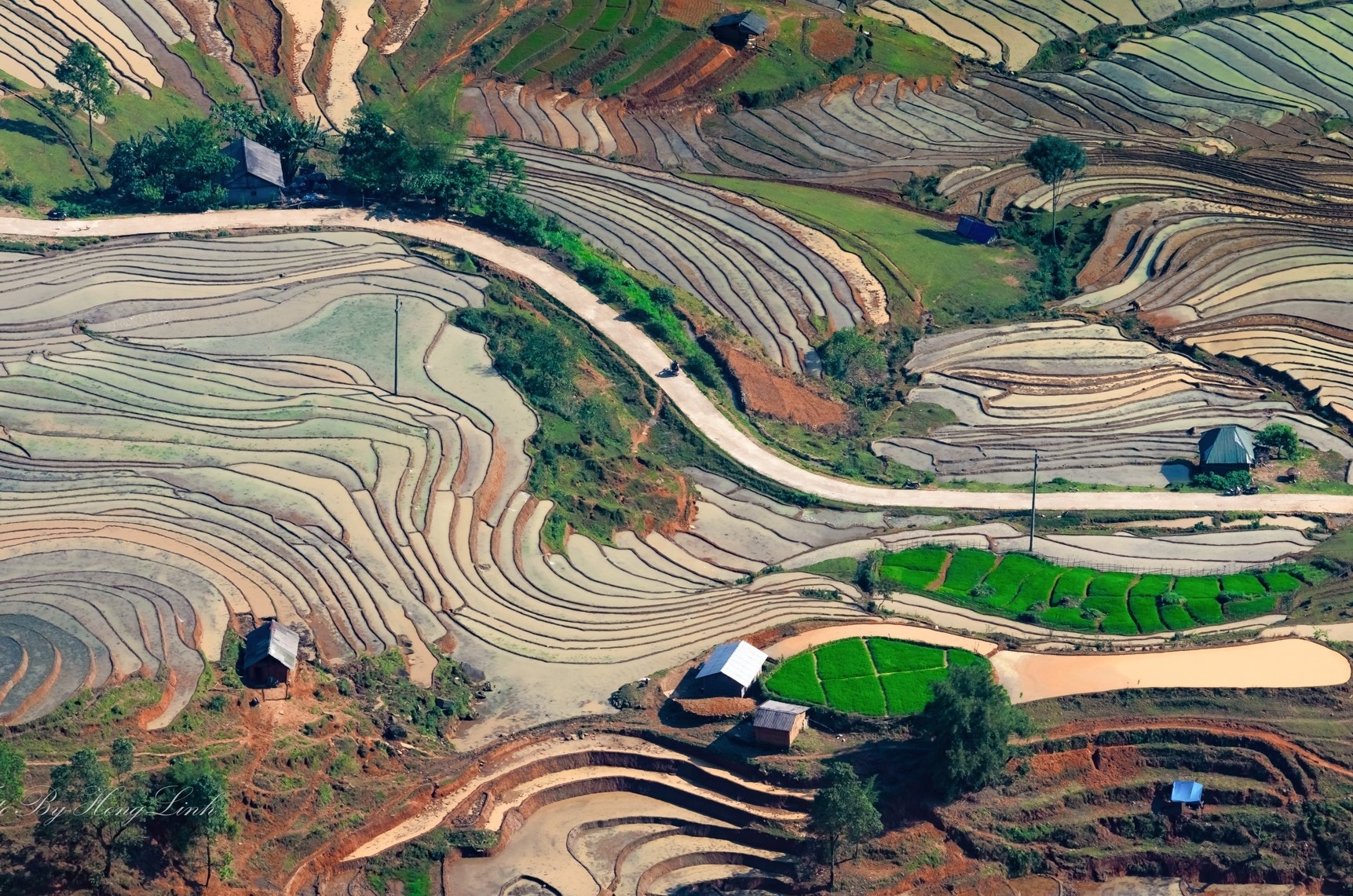 Y Ty mua nuoc do anh 14