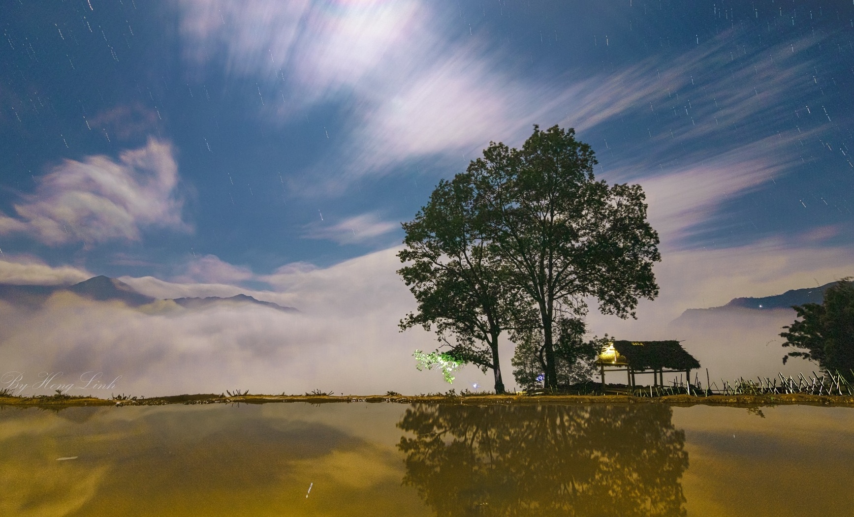 Y Ty mua nuoc do anh 15