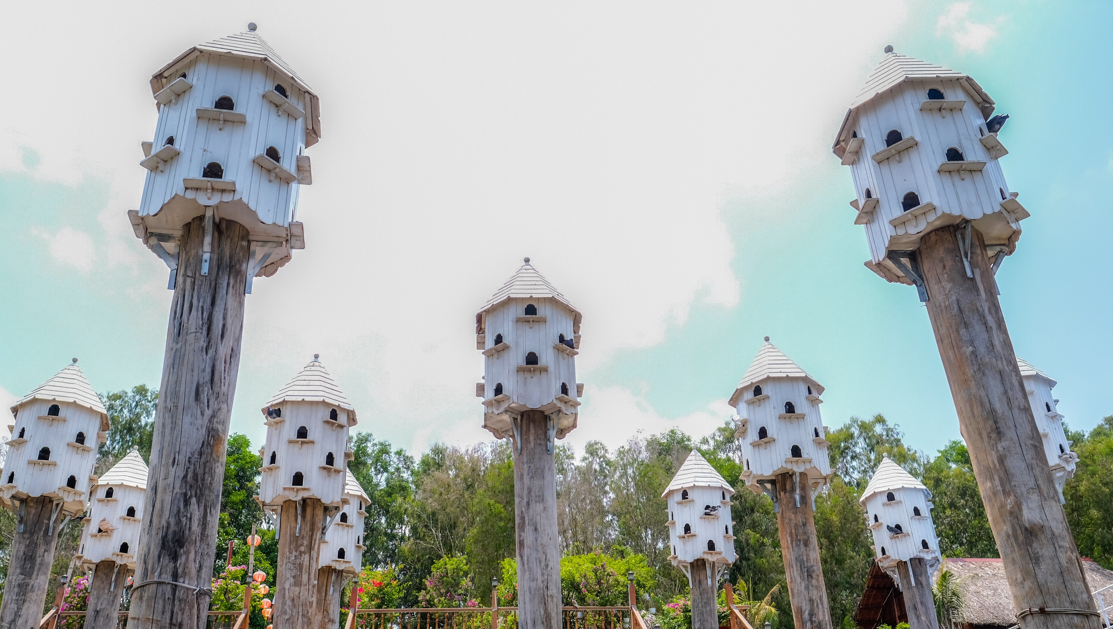 du lich An Giang anh 16