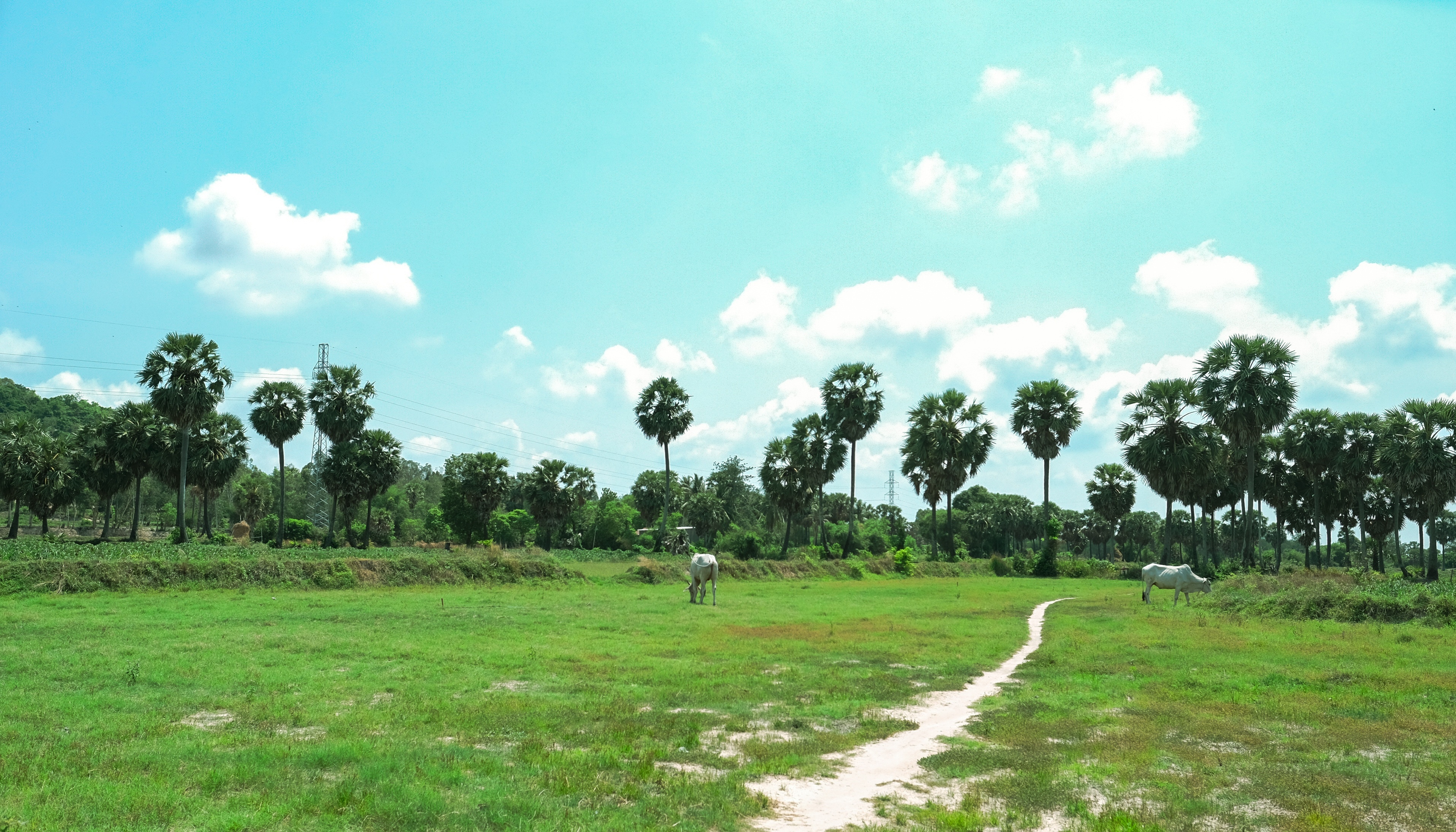 du lich An Giang anh 18