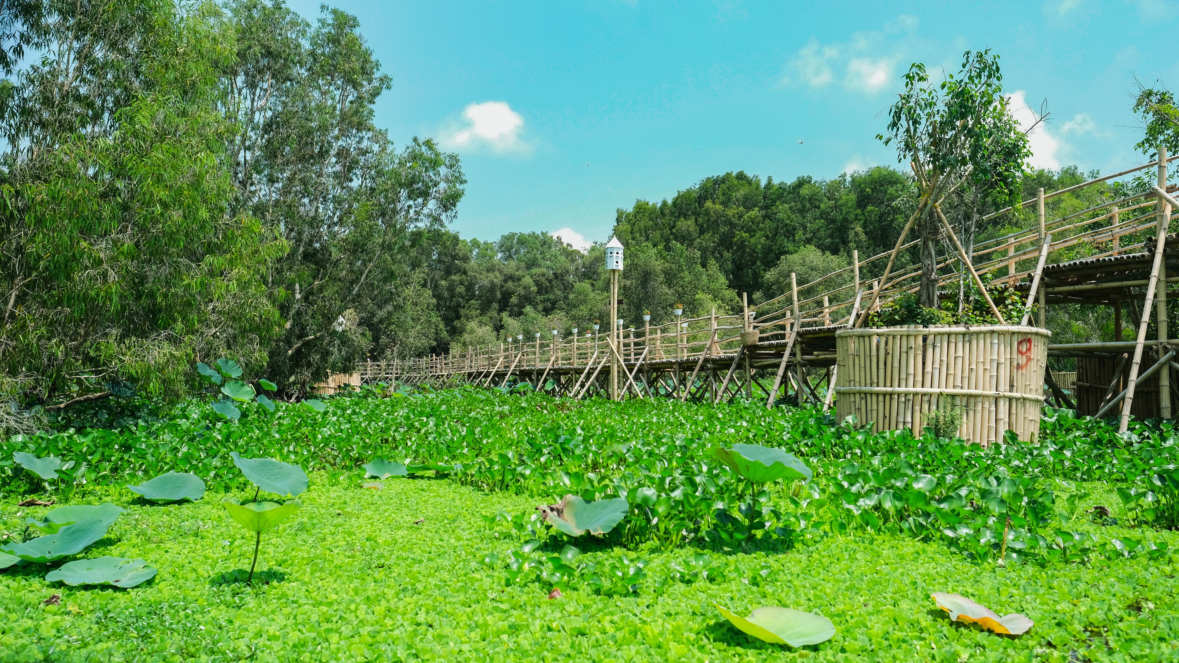 du lich An Giang anh 20