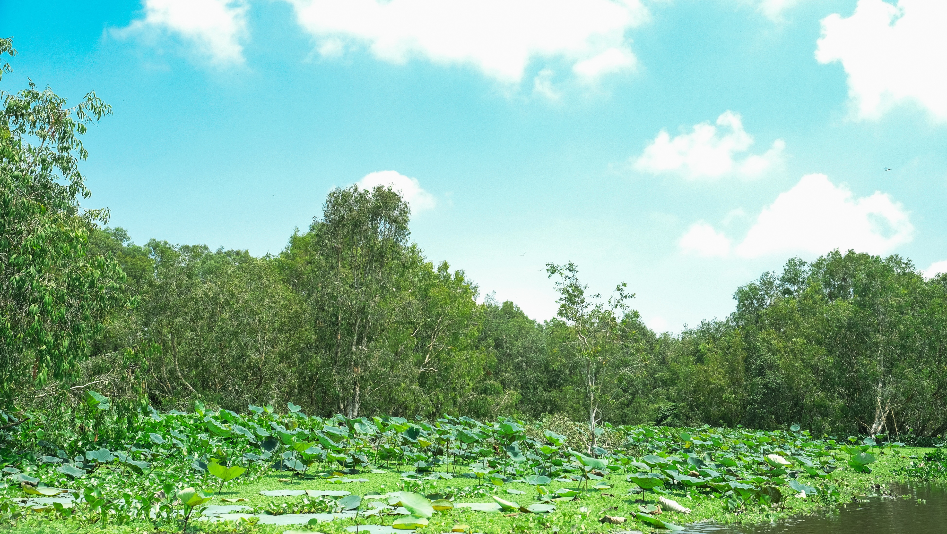 du lich An Giang anh 21