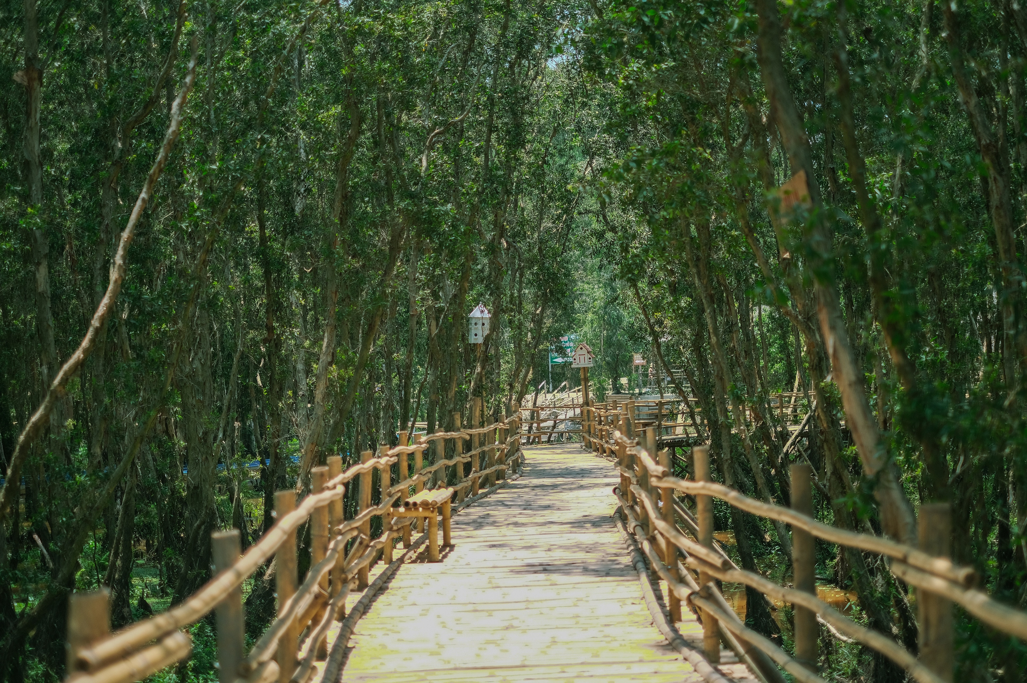 du lich An Giang anh 23